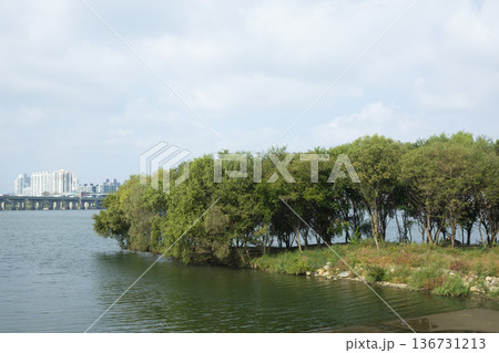 Han River bike path 136731213