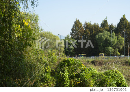 Han River bike path 136731901