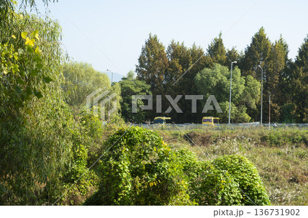 Han River bike path Han River bike path 136731902
