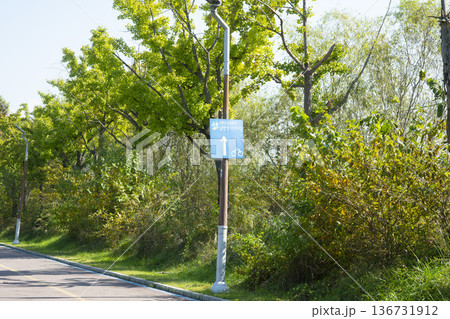 Han River bike path 136731912