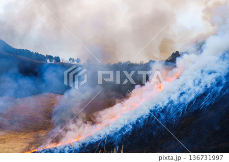 茶色から黒へ　2026早春曽爾高原の山焼き　山の下から点火し全体が燃えていく高原を囲む山⑧ 136731997