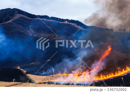 茶色から黒へ　2026早春曽爾高原の山焼き　山の下から点火し全体が燃えていく高原を囲む山⑬ 136732002