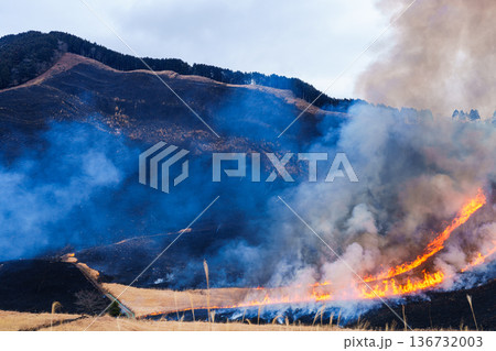 茶色から黒へ 2026早春曽爾高原の山焼き 山の下から点火し全体が燃えていく高原を囲む山⑭ 茶色から黒へ 2026早春曽爾高原の山焼き 山の下から点火し全体が燃えていく高原を囲む山⑭ 136732003