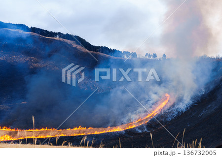 茶色から黒へ　2026早春曽爾高原の山焼き　山の下から点火し全体が燃えていく高原を囲む山⑯ 136732005