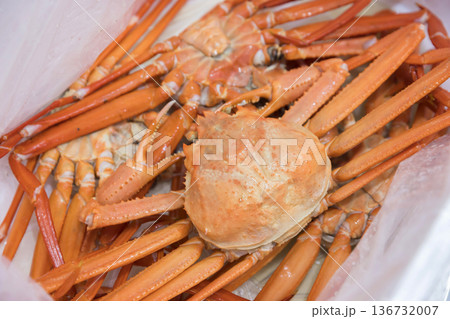 発泡スチロールに入ったズワイガニ 産直イメージ 発泡スチロールに入ったズワイガニ 産直イメージ 136732007