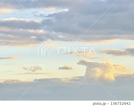 冬空にシロクマ現る 136732642