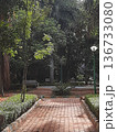 Greenery and Walking Path in Public Park 136733080