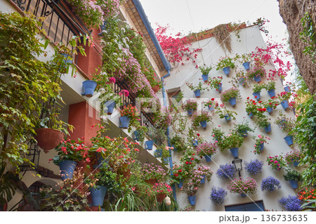 A Cordoban patio adorned with flowers in spring 136733635