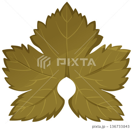 Golden Grape Leaf Cluster Vector Illustration Golden Grape Leaf Cluster Vector Illustration 136733843