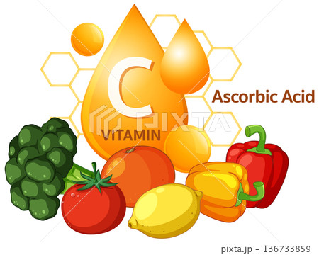 Vitamin C Rich Foods and Ascorbic Acid Illustration Vitamin C Rich Foods and Ascorbic Acid Illustration 136733859
