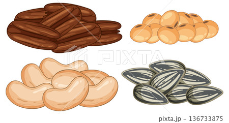 Assorted Nuts and Seeds Vector Illustration on White Assorted Nuts and Seeds Vector Illustration on White 136733875