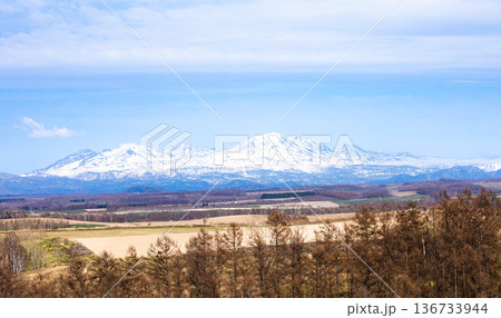 青空広がる早春の北海道美瑛町から見た風景 136733944