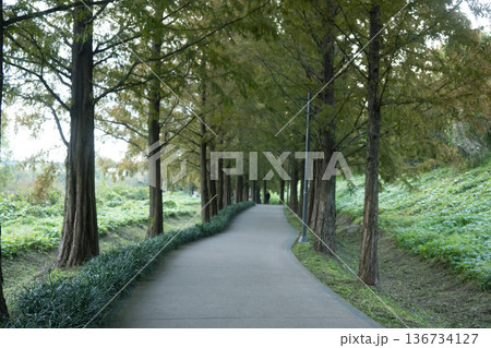 Han River bike path Han River bike path 136734127