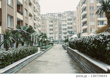 Snow falls on a walkway in a residential area with tall buildings and plants during winter in a city 136734643