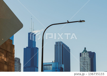 Tall buildings and street lights in a city scene on a clear day with blue sky above 136735133