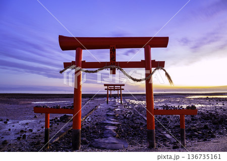 有明海の神秘的な風景　大魚神社の海中鳥居　（佐賀県） 136735161