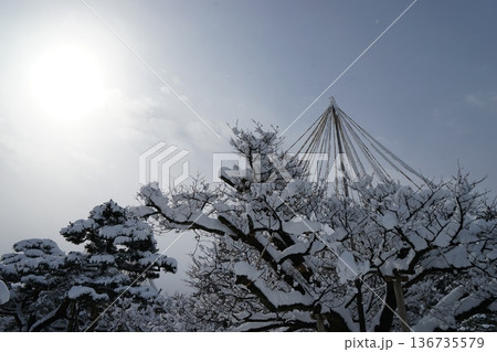 雪に映える真冬の兼六園 雪に映える真冬の兼六園 136735579