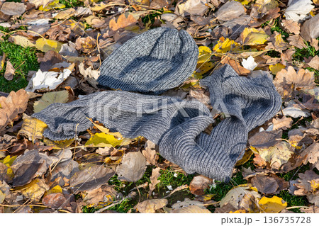 Gray knit scarf and hat on autumn leaves outdoors Gray knit scarf and hat on autumn leaves outdoors 136735728