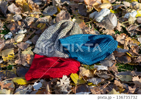 Colorful knit beanies on autumn leaves outdoors 136735732