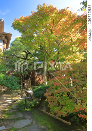 新潟市旧齋藤家別邸の美しい紅葉の景色 136735988