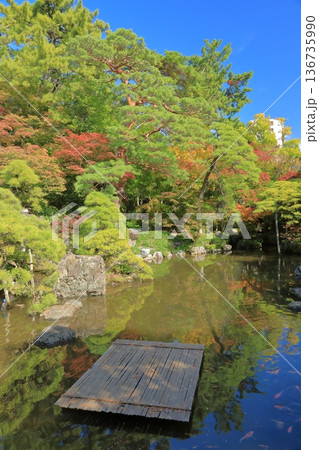 新潟市旧齋藤家別邸の錦鯉が泳ぐ池の景色 136735990