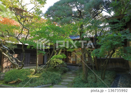 新潟市旧齋藤家別邸の日本情緒に溢れた風景 136735992