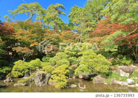 鮮やかな紅葉に彩られた新潟市旧齋藤家別邸の庭の風景 鮮やかな紅葉に彩られた新潟市旧齋藤家別邸の庭の風景 136735993