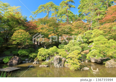 快晴の青空の下の新潟市旧齋藤家別邸の美しい日本庭園 136735994