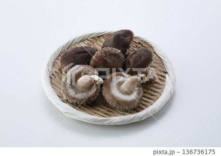 笊に盛った原木生椎茸 白背景 笊に盛った原木生椎茸 白背景 136736175