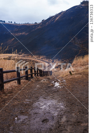 茶色から黒へ　2026早春曾爾高原の山焼き　手前まですっかり焼けた亀山峠から亀山の斜面 136736313