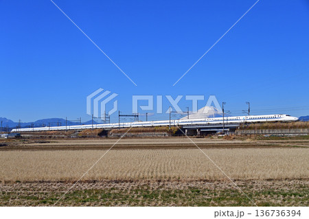 東海道新幹線 小田原-新横浜 JR東海 N700A系(東京) のぞみ ひかり こだま 東海道新幹線 小田原-新横浜 JR東海 N700A系(東京) のぞみ ひかり こだま 136736394
