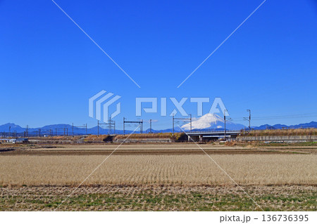 東海道新幹線 小田原-新横浜 JR東海 東海道新幹線 小田原-新横浜 JR東海 136736395