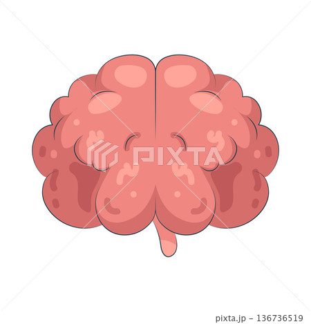 Illustration of human brain Illustration of human brain 136736519