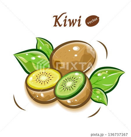 キウイのベクターイラスト素材|フレッシュで可愛い果物ポップアート 136737167