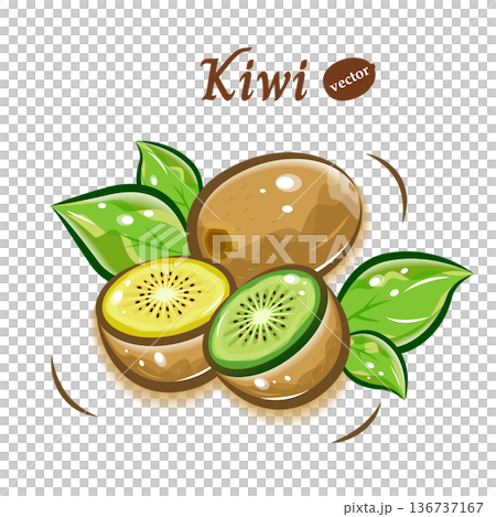 キウイのベクターイラスト素材|フレッシュで可愛い果物ポップアート 136737167