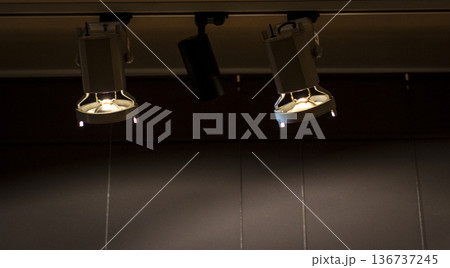 A cable mounted track lighting system 136737245
