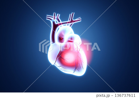 心臓のレントゲン風3Dイラスト。中心部の光るハイライトと心臓疾患、血管の健康診断コンセプト。 136737611