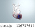 心筋梗塞による虚血部位を示す心臓の3Dイラスト。心停止や循環器疾患の医療コンセプト。 136737614