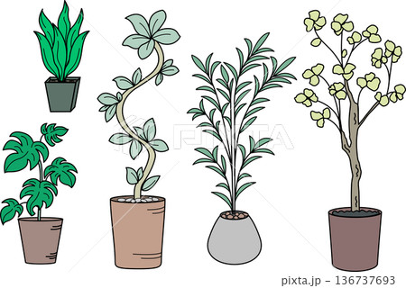 観葉植物　大型　植木鉢　インテリア 136737693