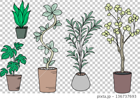 観葉植物　大型　植木鉢　インテリア 136737693
