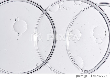 Liquid cosmetic product for the skin in a Petri dish. Liquid cosmetic product for the skin in a Petri dish. 136737777