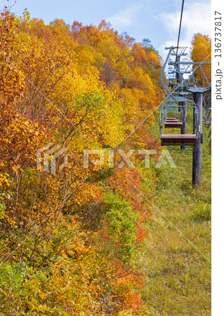 秋の山形県米沢市　紅葉の天元台高原 136737817