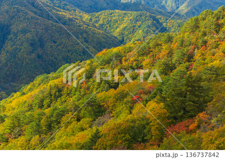秋の山形県米沢市 紅葉の天元台ロープウェイからの眺望 秋の山形県米沢市 紅葉の天元台ロープウェイからの眺望 136737842