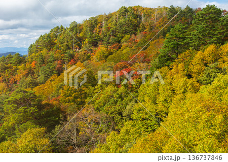 秋の山形県米沢市　紅葉の天元台ロープウェイからの眺望 136737846