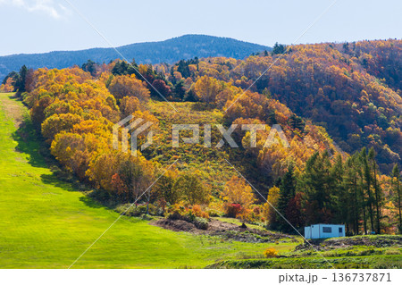 秋の山形県米沢市 紅葉の天元台高原 秋の山形県米沢市 紅葉の天元台高原 136737871