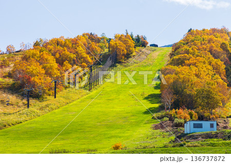 秋の山形県米沢市　紅葉の天元台高原 136737872