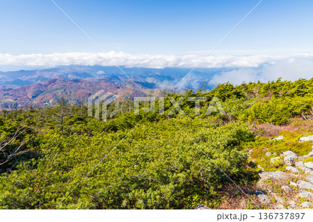 秋の西吾妻山　紅葉のかもしか展望台からの眺望 136737897
