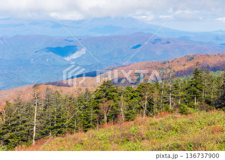 秋の山形県米沢市　紅葉の天元台高原 136737900