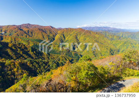 秋の山形県米沢市 紅葉の天元台高原 秋の山形県米沢市 紅葉の天元台高原 136737950
