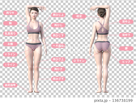 Hair removal treatment area and Japanese woman 3D model illustration, whole body back view 136738199